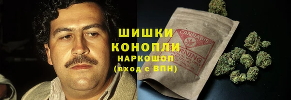 мдпв Верхний Тагил