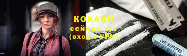 мдпв Верхний Тагил