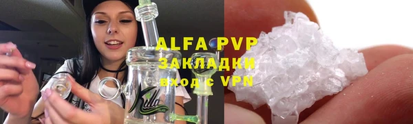ПСИЛОЦИБИНОВЫЕ ГРИБЫ Верея