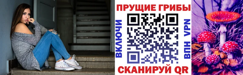 Галлюциногенные грибы Cubensis  Бронницы 